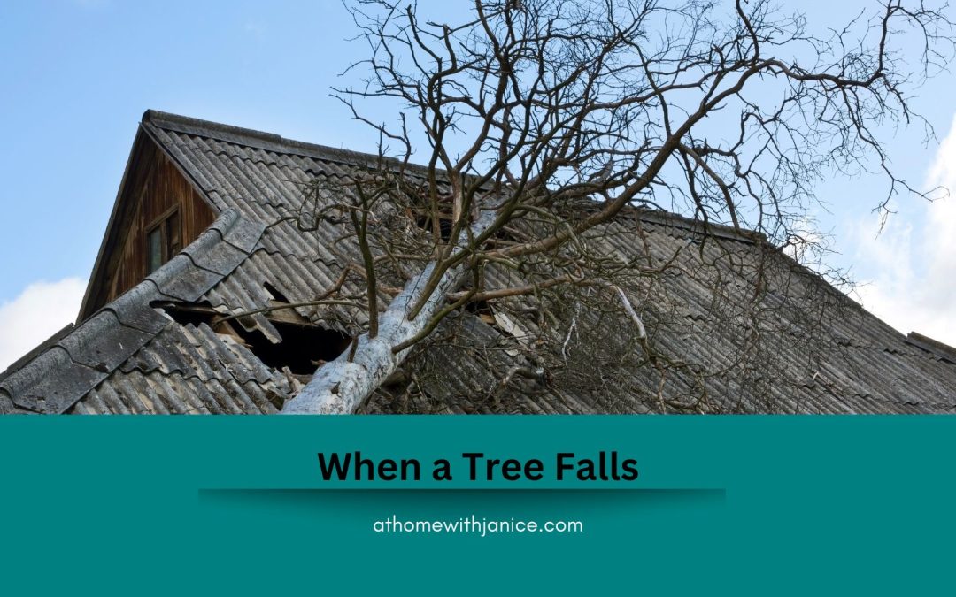 when a tree falls